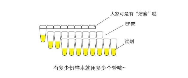 配制试剂